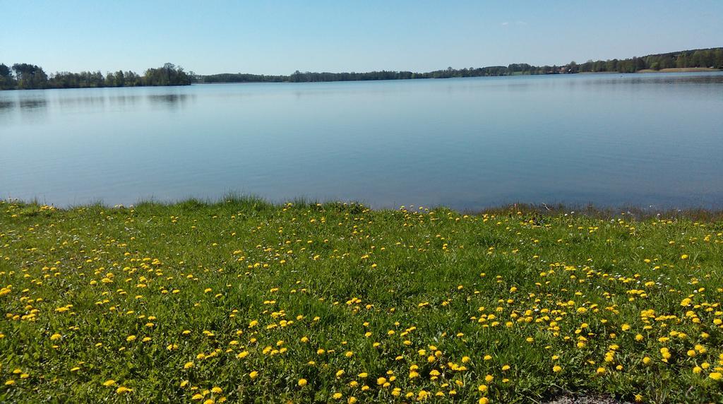 Agroturystyka Sominy Zewnętrze zdjęcie