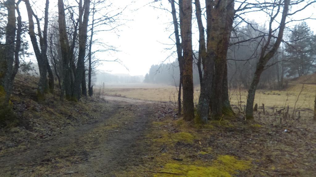 Agroturystyka Sominy Zewnętrze zdjęcie