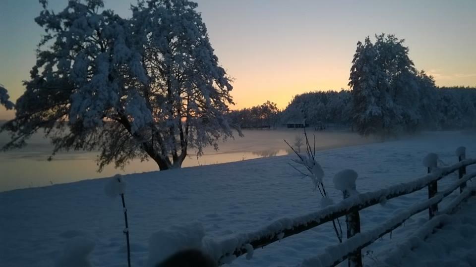 Agroturystyka Sominy Zewnętrze zdjęcie