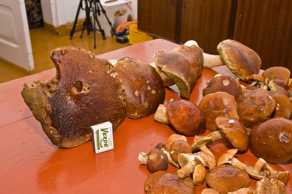 Agroturystyka Sominy Zewnętrze zdjęcie