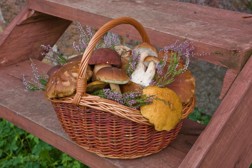 Agroturystyka Sominy Zewnętrze zdjęcie