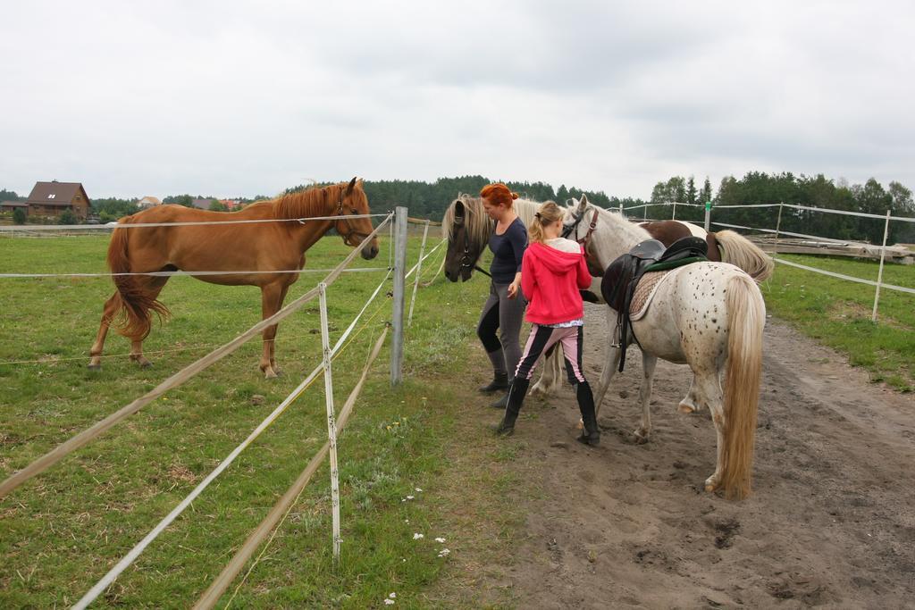 Agroturystyka Sominy Zewnętrze zdjęcie
